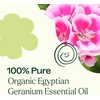 image:imagePlant Therapy Organic Egyptian Geranium Essential Oil 10 mL 13 ozGeranium