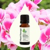 image:imagePlant Therapy Organic Egyptian Geranium Essential Oil 10 mL 13 ozGeranium