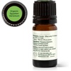 image:imagePlant Therapy Organic Egyptian Geranium Essential Oil 10 mL 13 ozGeranium