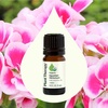 image:imagePlant Therapy Organic Egyptian Geranium Essential Oil 10 mL 13 ozGeranium