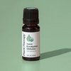image:imagePlant Therapy Organic Eucalyptus Globulus Essential Oil 10 mL 13 ozEucalyptus Globulus