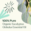 image:imagePlant Therapy Organic Eucalyptus Globulus Essential Oil 10 mL 13 ozEucalyptus Globulus