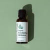 image:imagePlant Therapy Organic Eucalyptus Globulus Essential Oil 10 mL 13 ozEucalyptus Globulus