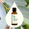 image:imagePlant Therapy Organic Eucalyptus Globulus Essential Oil 10 mL 13 ozEucalyptus Globulus