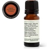 image:imagePlant Therapy Organic Frankincense Essential Oil Frereana 10 mL 13 oz033 Fl Oz Pack of 1
