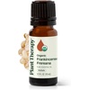 image:imagePlant Therapy Organic Frankincense Essential Oil Frereana 10 mL 13 oz033 Fl Oz Pack of 1