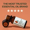 image:imagePlant Therapy Organic Frankincense Essential Oil Frereana 10 mL 13 oz033 Fl Oz Pack of 1
