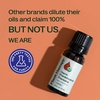 image:imagePlant Therapy Organic Frankincense Essential Oil Frereana 10 mL 13 oz033 Fl Oz Pack of 1