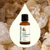 image:imagePlant Therapy Organic Frankincense Essential Oil Frereana 10 mL 13 oz1 Fl Oz Pack of 1