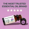image:imagePlant Therapy Organic Lavender Essential Oil 10 mL 13 oz USDA Certified033 Fl Oz Pack of 1