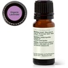 image:imagePlant Therapy Organic Lavender Essential Oil 10 mL 13 oz USDA Certified033 Fl Oz Pack of 1