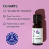 image:imagePlant Therapy Organic Lavender Essential Oil 10 mL 13 oz USDA Certified033 Fl Oz Pack of 1
