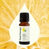 image:imagePlant Therapy Organic Lemon Essential Oil 10 mL 13 oz Pure Undiluted033 Fl Oz Pack of 1