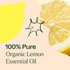 image:imagePlant Therapy Organic Lemon Essential Oil 10 mL 13 oz Pure Undiluted033 Fl Oz Pack of 1