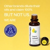 image:imagePlant Therapy Organic Lemon Essential Oil 10 mL 13 oz Pure Undiluted1 Fl Oz Pack of 1