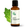 image:imagePlant Therapy Organic Peppermint Essential Oil 10 mL USDA Certified OrganicPeppermint