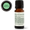 image:imagePlant Therapy Organic Peppermint Essential Oil 10 mL USDA Certified OrganicPeppermint