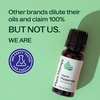 image:imagePlant Therapy Organic Peppermint Essential Oil 10 mL USDA Certified OrganicPeppermint