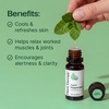 image:imagePlant Therapy Organic Peppermint Essential Oil 10 mL USDA Certified OrganicPeppermint