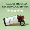 image:imagePlant Therapy Organic Peppermint Essential Oil 10 mL USDA Certified OrganicPeppermint