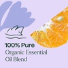 image:imagePlant Therapy Organic Relax Essential Oil Blend 10 mL 13 ozRelax
