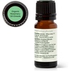 image:imagePlant Therapy Organic Rosemary Essential Oil 100 mL 33 oz 100 Pure USDA Certified Organic Undiluted Natural Aromatherapy for Healthy Hair034 Fl Oz Pack of 1