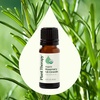 image:imagePlant Therapy Organic Rosemary Essential Oil 100 mL 33 oz 100 Pure USDA Certified Organic Undiluted Natural Aromatherapy for Healthy Hair034 Fl Oz Pack of 1