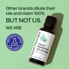 image:imagePlant Therapy Organic Rosemary Essential Oil 100 mL 33 oz 100 Pure USDA Certified Organic Undiluted Natural Aromatherapy for Healthy Hair1 Fl Oz Pack of 1