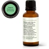 image:imagePlant Therapy Organic Rosemary Essential Oil 100 mL 33 oz 100 Pure USDA Certified Organic Undiluted Natural Aromatherapy for Healthy Hair1 Fl Oz Pack of 1