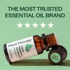 image:imagePlant Therapy Organic Rosemary Essential Oil 100 mL 33 oz 100 Pure USDA Certified Organic Undiluted Natural Aromatherapy for Healthy Hair1 Fl Oz Pack of 1