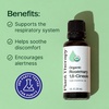 image:imagePlant Therapy Organic Rosemary Essential Oil 100 mL 33 oz 100 Pure USDA Certified Organic Undiluted Natural Aromatherapy for Healthy Hair1 Fl Oz Pack of 1
