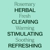 image:imagePlant Therapy Organic Rosemary Essential Oil 100 mL 33 oz 100 Pure USDA Certified Organic Undiluted Natural Aromatherapy for Healthy Hair33 Fl Oz Pack of 1