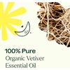 image:imagePlant Therapy Organic Vetiver Essential Oil 5 mL 16 oz Pure Undiluted Essential Oil Great for Meditation and DIY Natural Skin CareVetiver