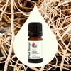 image:imagePlant Therapy Organic Vetiver Essential Oil 5 mL 16 oz Pure Undiluted Essential Oil Great for Meditation and DIY Natural Skin CareVetiver
