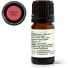 image:imagePlant Therapy Organic Vetiver Essential Oil 5 mL 16 oz Pure Undiluted Essential Oil Great for Meditation and DIY Natural Skin CareVetiver