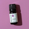 image:imagePlant Therapy Palo Santo Essential Oil 5 mL 16 oz 100 Pure Undiluted Natural Calming Aromatherapy Tension Headache Pain Support017 Fl Oz Pack of 1
