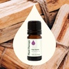 image:imagePlant Therapy Palo Santo Essential Oil 5 mL 16 oz 100 Pure Undiluted Natural Calming Aromatherapy Tension Headache Pain Support017 Fl Oz Pack of 1