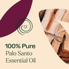 image:imagePlant Therapy Palo Santo Essential Oil 5 mL 16 oz 100 Pure Undiluted Natural Calming Aromatherapy Tension Headache Pain Support034 Fl Oz Pack of 1
