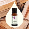 image:imagePlant Therapy Palo Santo Essential Oil 5 mL 16 oz 100 Pure Undiluted Natural Calming Aromatherapy Tension Headache Pain Support034 Fl Oz Pack of 1
