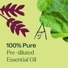 image:imagePlant Therapy Patchouli Essential Oil 100 Pure PreDiluted RollOn Natural Aromatherapy for Relaxation Stress Relief and Skin Care034 Fl Oz Pack of 2