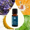 image:imagePlant Therapy Relax Essential Oil Blend 10 mL 13 ozRelax