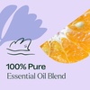 image:imagePlant Therapy Relax Essential Oil Blend 10 mL 13 ozRelax
