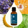 image:imagePlant Therapy Relax Essential Oil Blend 10 mL 13 ozRelax
