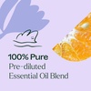 image:imagePlant Therapy Relax Essential Oil Blend PreDiluted Roll On 10 mL 13 oz034 Fl Oz Pack of 1