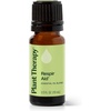 image:imagePlant Therapy Respir Aid Essential Oil Blend 10 mL 13 oz Sinus Airway and Congestion Clearing Oil Blend 100 Pure and Undiluted Natural Aromatherapy033 Fl Oz Pack of 1