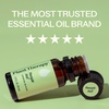 image:imagePlant Therapy Respir Aid Essential Oil Blend 10 mL 13 oz Sinus Airway and Congestion Clearing Oil Blend 100 Pure and Undiluted Natural Aromatherapy033 Fl Oz Pack of 1