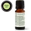 image:imagePlant Therapy Respir Aid Essential Oil Blend 10 mL 13 oz Sinus Airway and Congestion Clearing Oil Blend 100 Pure and Undiluted Natural Aromatherapy033 Fl Oz Pack of 1