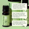 image:imagePlant Therapy Respir Aid Essential Oil Blend 10 mL 13 oz Sinus Airway and Congestion Clearing Oil Blend 100 Pure and Undiluted Natural Aromatherapy033 Fl Oz Pack of 1