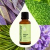 image:imagePlant Therapy Respir Aid Essential Oil Blend 10 mL 13 oz Sinus Airway and Congestion Clearing Oil Blend 100 Pure and Undiluted Natural Aromatherapy1 Fl Oz Pack of 1