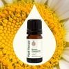 image:imagePlant Therapy Roman Chamomile Essential Oil 10 mL 13 oz017 Fl Oz Pack of 1